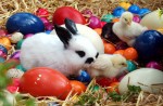 Ostern 150