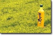 Rapsöl