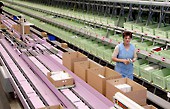 Neues Online-Special auf <i>LOGISTIK</i>-inside.de wmf_news_klein