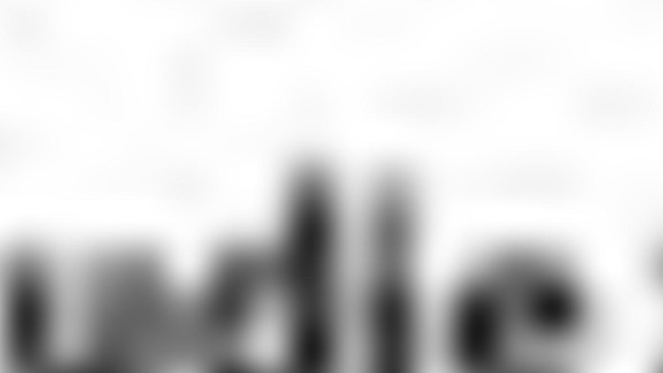 Parteien gegen PKW-Maut 