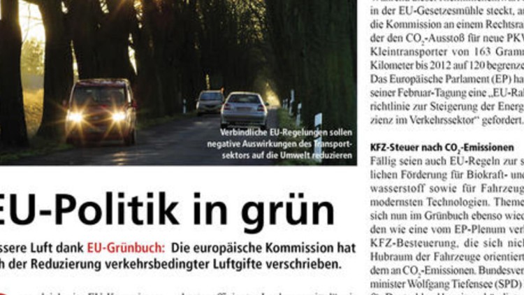 EU-Politik in grün EU-Politik in grün