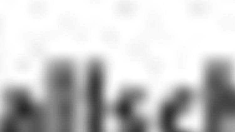 Halter haftet für Unfallschaden durch das Tier