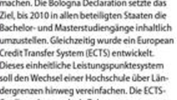 Bachelor oder Master?