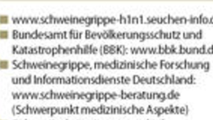 H1N1-Virus – was Firmen nun tun müssen