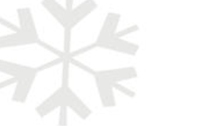 Schnell Schnee schieben