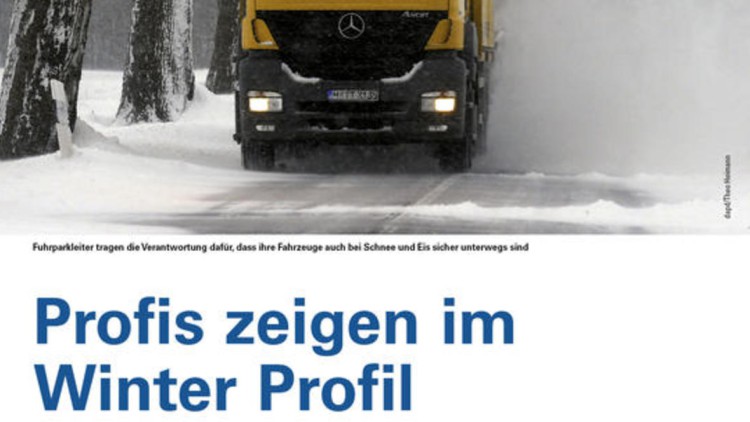 Profis zeigen im Winter Profil 
