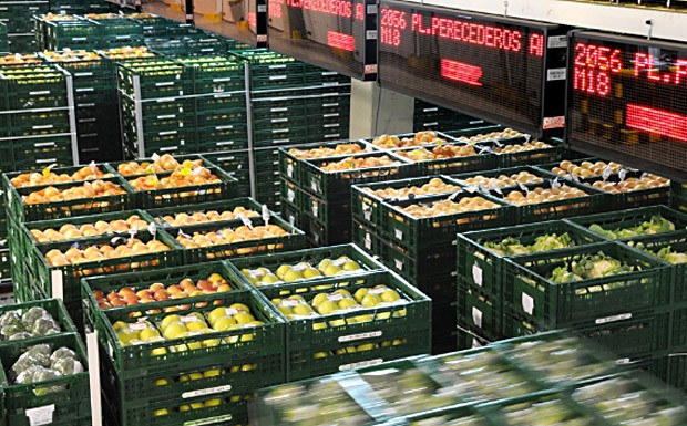 Südafrikanische Logistik bekommt Hilfe aus Holland