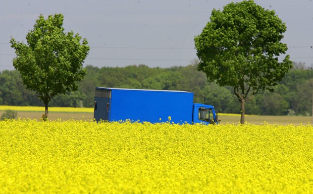 Grünen-Studie: Der LKW bleibt das Rückgrat der Logistik