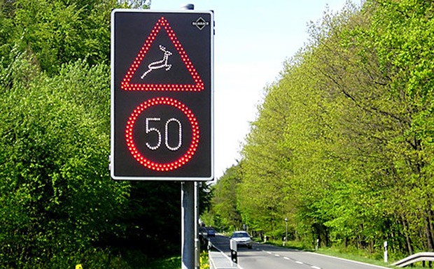 Schleswig-Holstein testet „Hirsch-Radar“