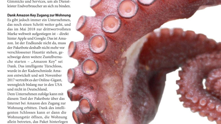 Interview: "Amazon tritt nun in die zweite Phase ein"