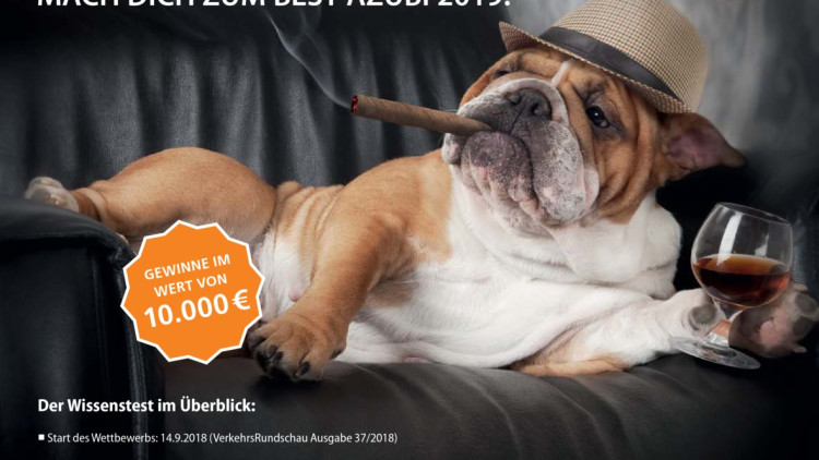 "chef sein?" ... Das kannst Du besser!