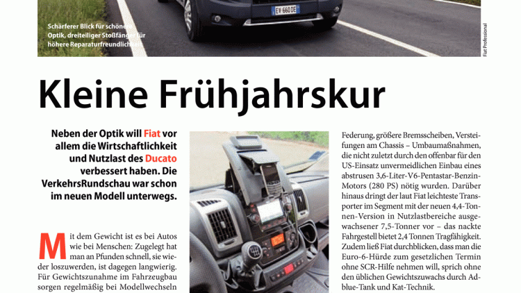 Kleine Frühjahrskur