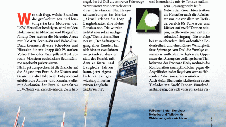 Kraft und Ruhe im Wald