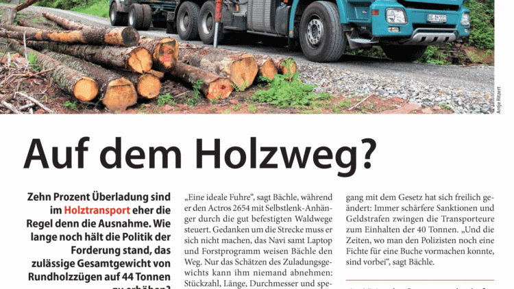 Auf dem Holzweg?