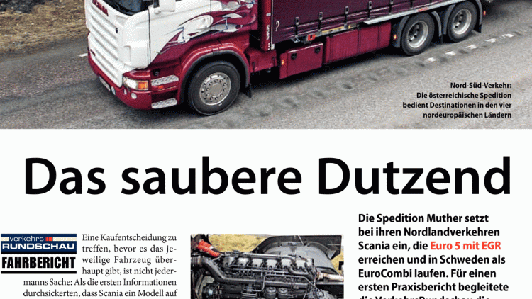 Das saubere Dutzend