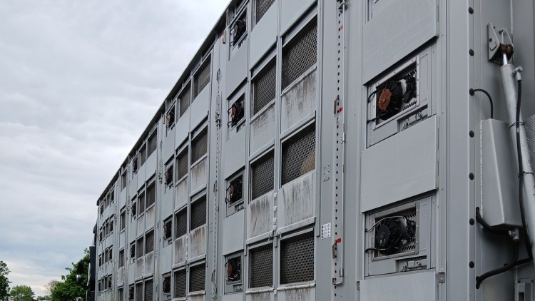 Tiertransporte, Tierwohl, Verladen, Lebendige Tiere