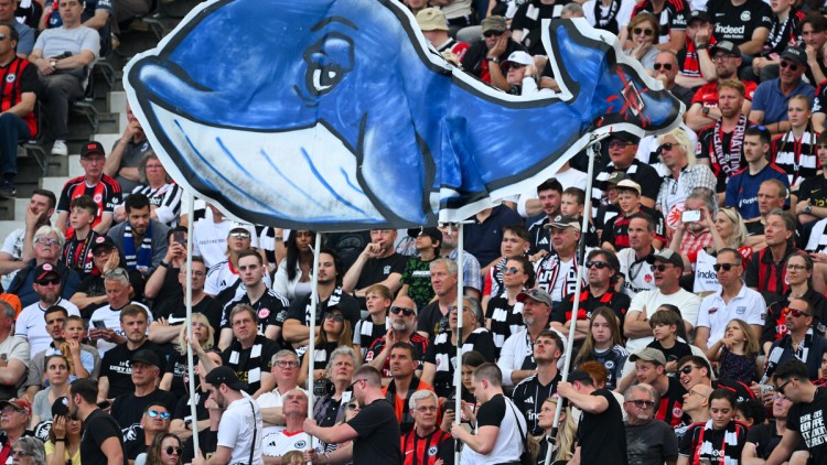 Wal Timmy Logistik Rettung Stadion