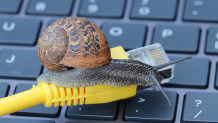 eine Schnecke auf einem Kabel auf einer Tastatur veranschaulicht langsames Internet