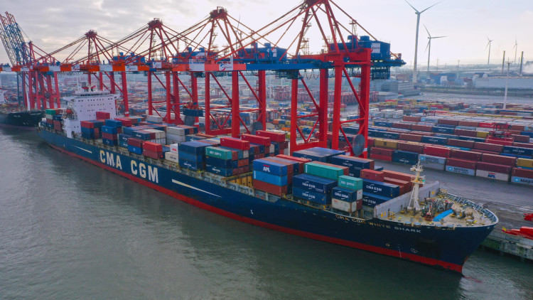 CMA CGM White Shark, Containerschiff, Hafen Hamburg