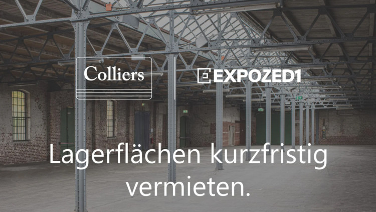 Colliers Expozed1