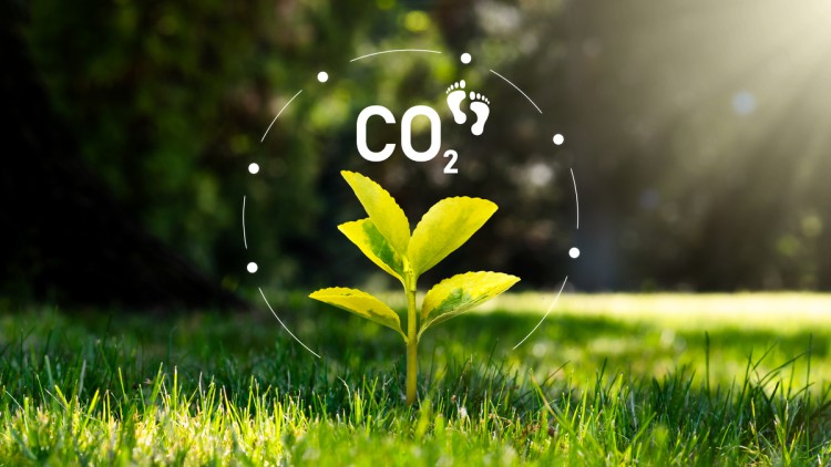 Kleines Pflänzchen steht für den CO₂-Fußabdruck, Kohlendioxid-Emissionen, Carbon Footprint Konzept