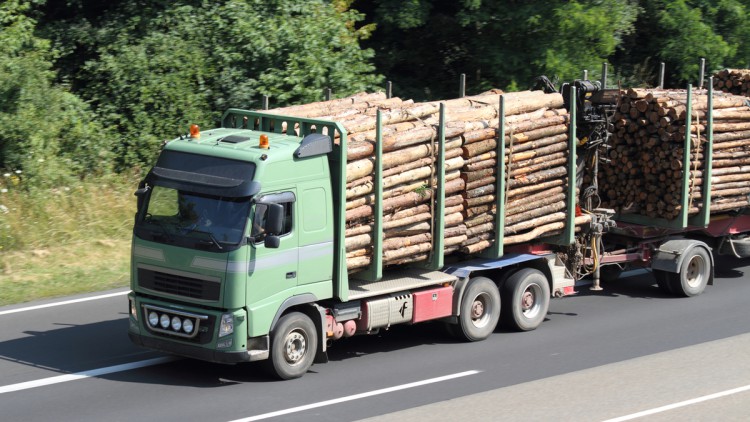 Lkw Holztransport