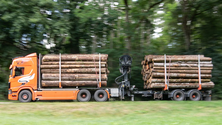 Holztransport, Schwertransport, Lkw