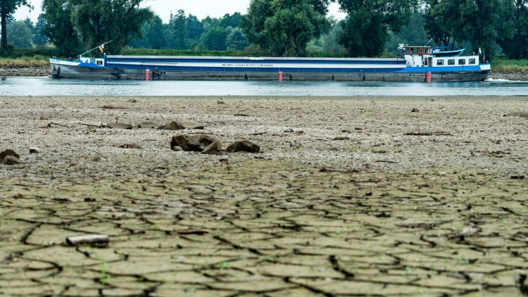 Niedrigwasser, Binnenschiff, Donau