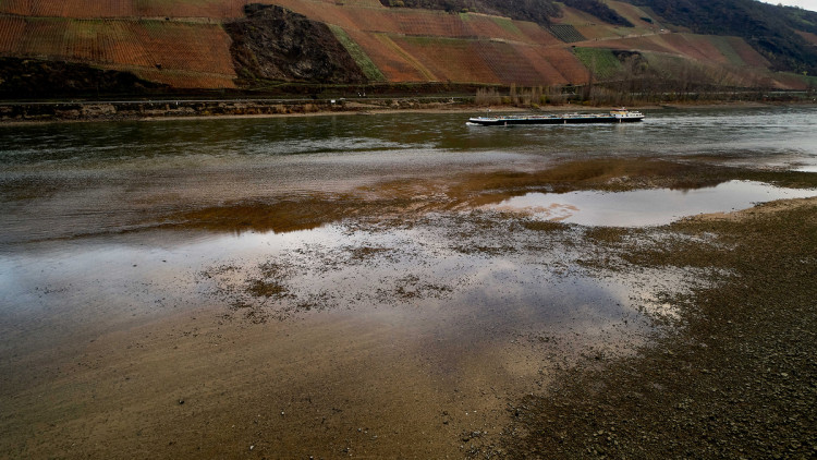 Niedrigwasser, Rhein