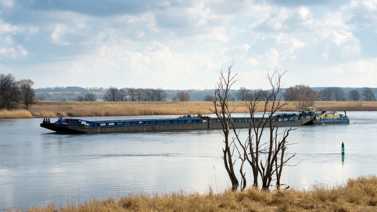 Niedrigwasser: Weiterhin keine Güterschifffahrt auf Oder möglich 