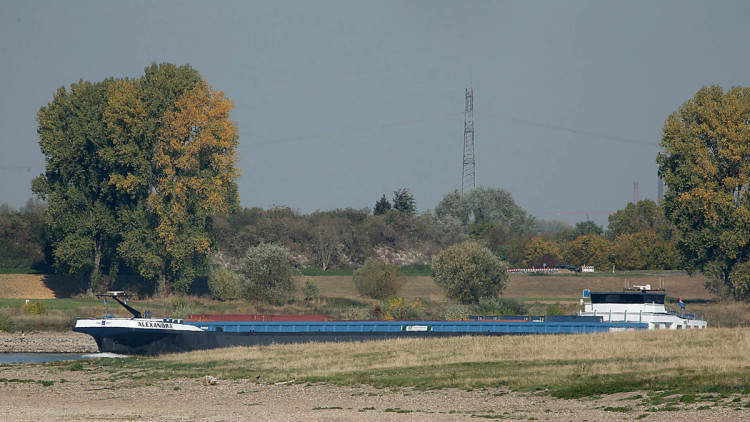 Wasserstand am Rhein so niedrig wie nie