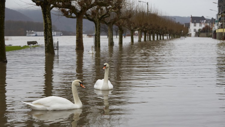 Hochwasser