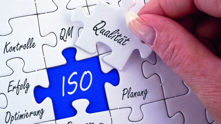 Fehlendes Puzzlestück im Managementsystem-Puzzle