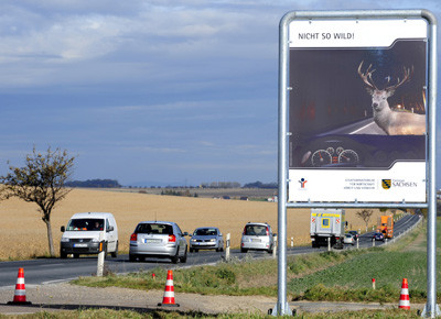 Aktion Nicht so wild, Straße, PKW 