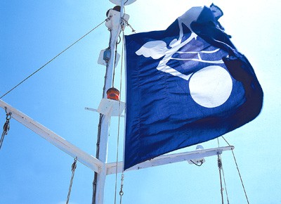 Panalpina, Flagge, Logo 