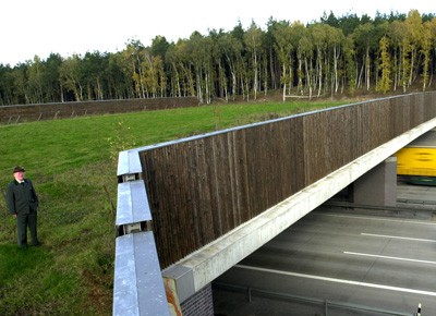 Wildbrücke, Autobahn 