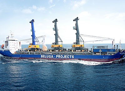 beluga6