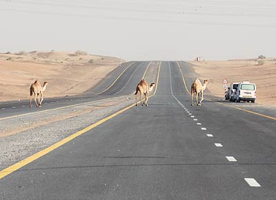 Leserreise Dubai 2009 