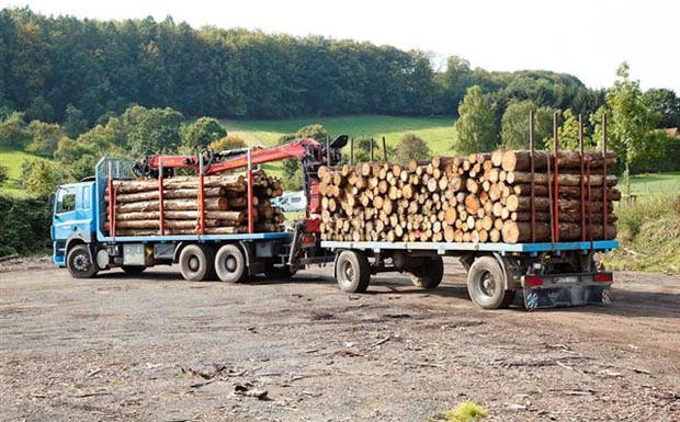 Ladungssicherung Rundholz