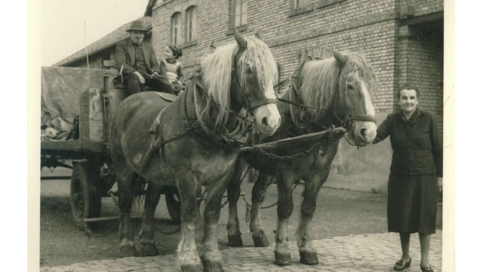 LTG, Landauer Transportgesellschaft Doll, Pferdegespann